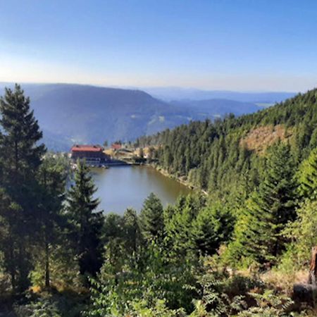 Rehkitz Appartement Baiersbronn Buitenkant foto